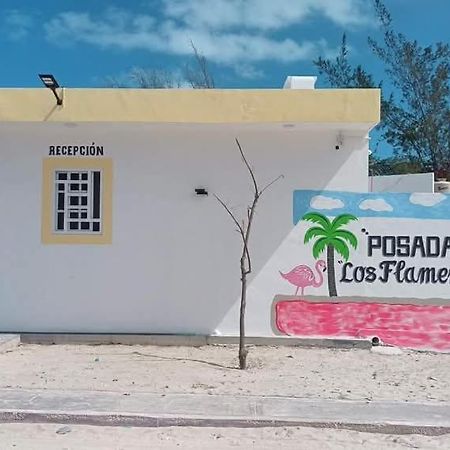Posada Los Flamencos Las Coloradas Yucatan Yuluc المظهر الخارجي الصورة