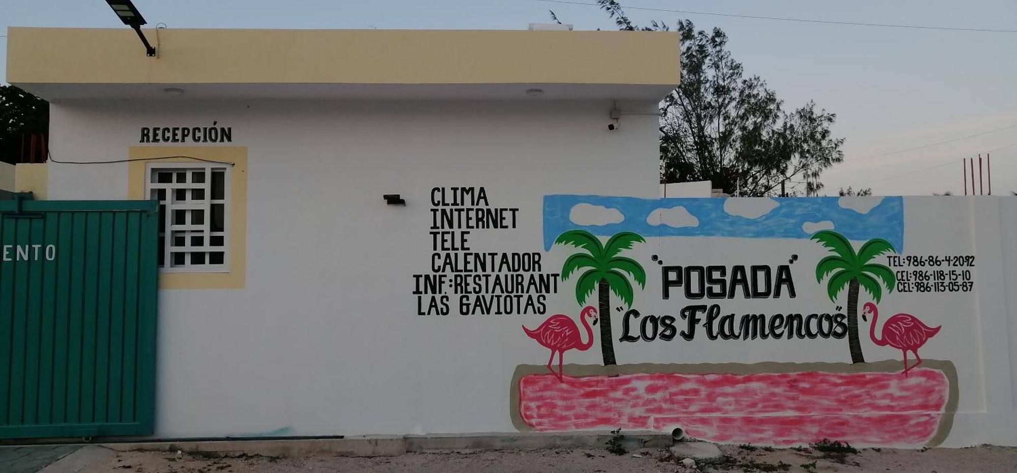 Posada Los Flamencos Las Coloradas Yucatan Yuluc المظهر الخارجي الصورة